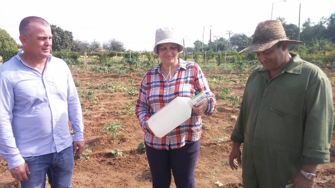 Productores buscan alternativas y dan solución a la falta de sistema de riego #SiSePuede @YdaelB @MMarreroCruz @JorgeLuisTapiaF @PresidenciaCuba @AsambleaCuba @RamnAguilarBet2 @MINAGCuba