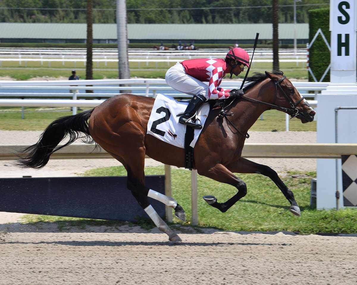 .@WoodbineTB legend, Patrick Husbands picks up his first win of 2024! Husbands will look to add to his incredible 3,631 career win total this season at Woodbine 📸| @GulfstreamPark