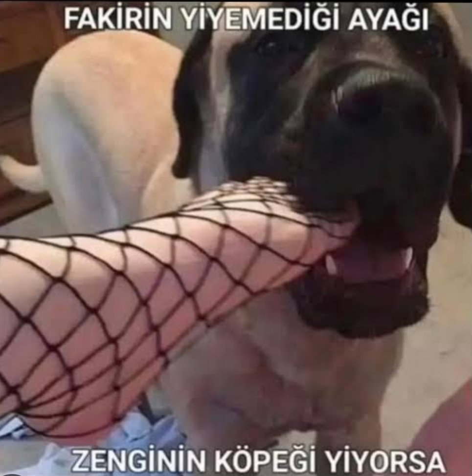 fakirin yiyemediği ayağı zenginin köpeği yiyorsa bana sınıfsal mıdır diye sormayın..........