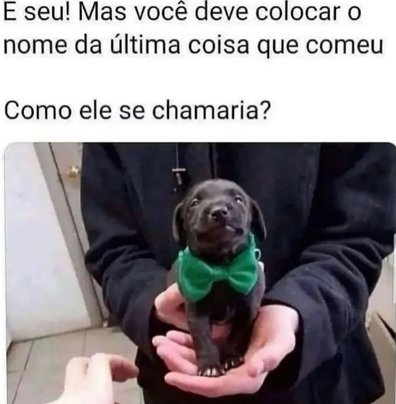 ๑୭̥🌺A Anjinha🌺ִֶ ๑୭̥ tweet media