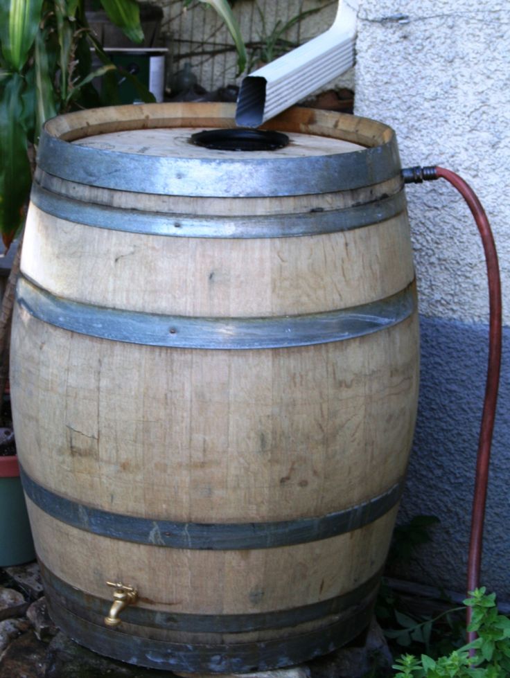 Rainwater is better for your plants and soil, as it is highly oxygenated, free of salts, inorganic ions & fluoride compounds. #RainBarrels provide your own water source, as well as offer a “green” alternative to washing your cars and pets. fcap.com