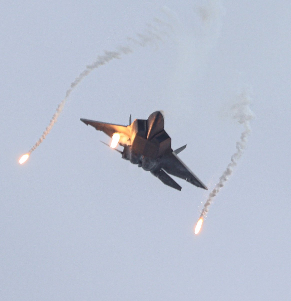 Happy Fighter Friday everyone 🤘