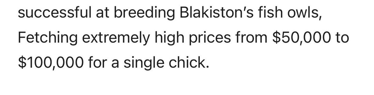 When you see BIG MEN with family having owls as pet, know they mostly bought them as a chick.