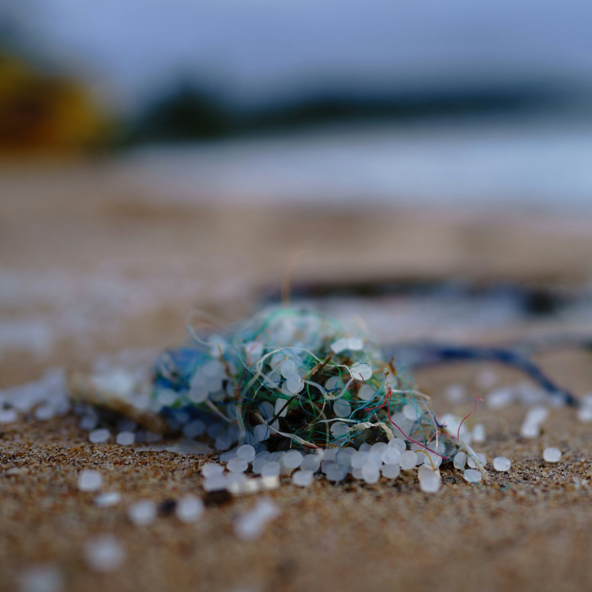 Surfrider and @fidratweets are hosting a webinar about the global problem of plastic pellet pollution and how it can be prevented, including through U.S. legislation and the #GlobalPlasticsTreaty. Join us on Wednesday, 4/17 at 8:30 AM pst. Register here: surfrider-org.zoom.us/webinar/regist…