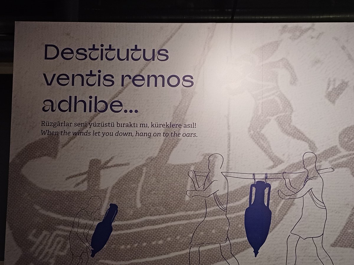 SARYA ÖZGÜR (@ekinsarya) on Twitter photo 