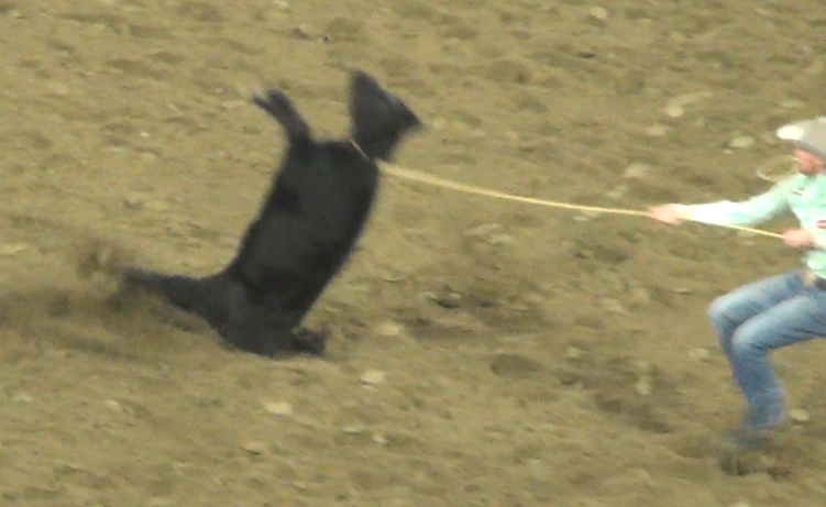 Bryan Pease tweet media