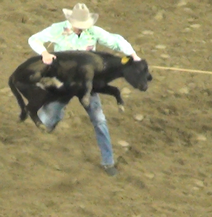 Bryan Pease tweet media