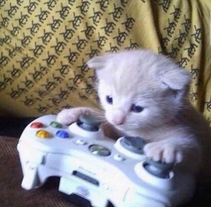 shhh he gaming