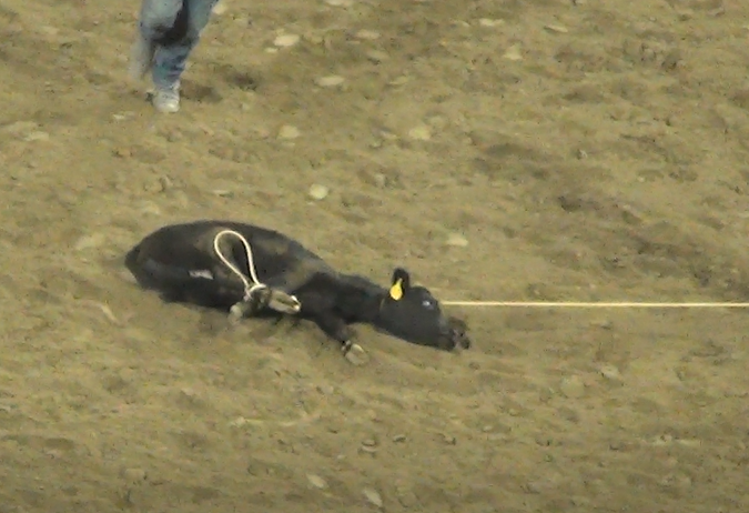 Bryan Pease tweet media