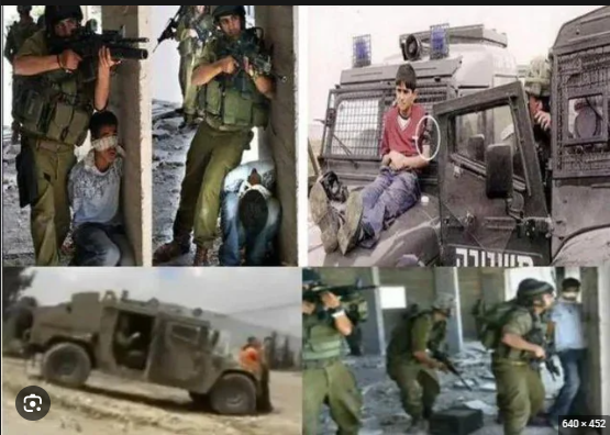 Reality Revolution 🇵🇸 tweet media