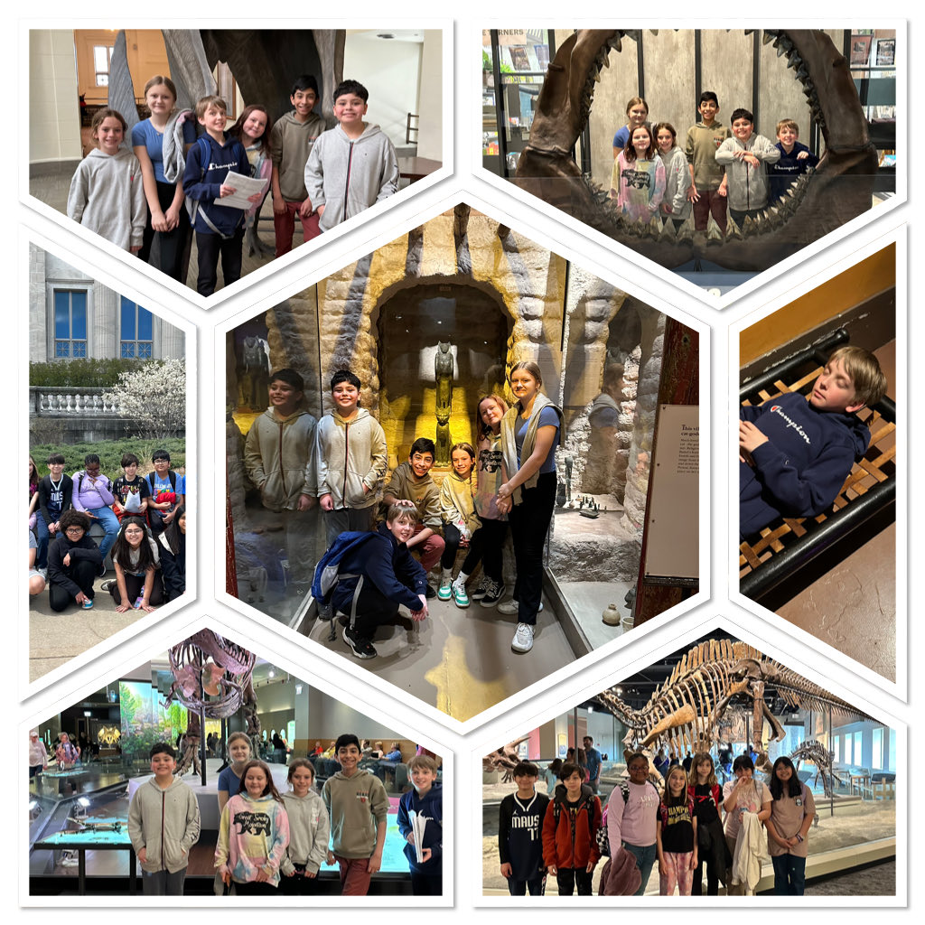 Hannum 5th grade students at the Field Museum. #d123 #FieldMuseum