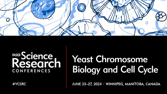 Abstracts Due 4/28! Join us at #YCSRC for a deep dive into #YeastChromosome research! Connect with @ddawsonBiology, @LacefieldLab, & @MundyWellinger. Explore cutting-edge topics in chromatin organization, genome stability, and more! hubs.ly/Q02rT6F60