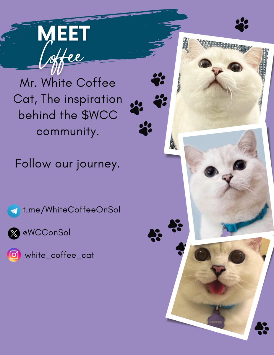 👉Follow our journey and read our story. $WCC

❤️Find out how a community has rallied together for something better. 

t.me/WhiteCoffeeOnS…
#solana #whitecoffeecat