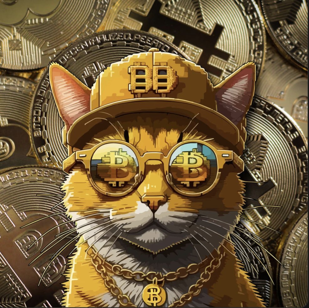 @stekisteks Not me sir! I'm stocking up on more $OPCAT 🤑 Satoshi Nakamoto had a vision and it shall be recognized! The OG #BTC Cat - #OPCAT - the powerful code written into Bitcoin is about to make a comeback! This will change the entire game! Learn more 👉 t.me/opcateth