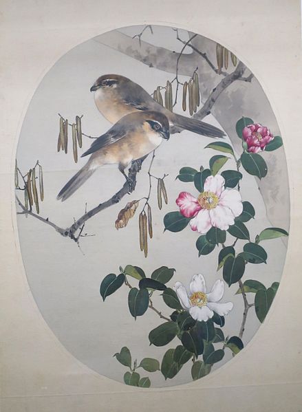 Bull-headed Shrikes with Camellia and Japanese Alder by Watanabe Seitei, ca. 1906

#nihonga