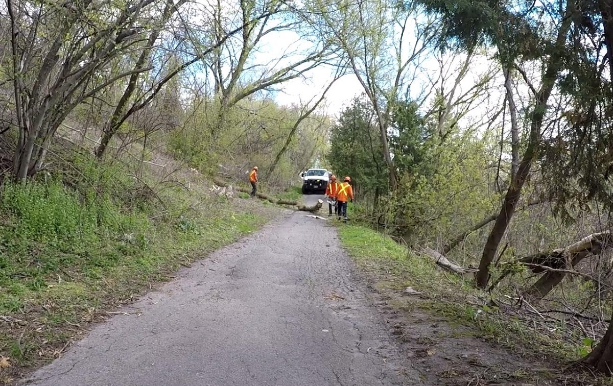 Today is windy! 🍃 Remember to: 📞 Report any downed trees, blocked roadways/sidewalks or safety hazards to 311 🔌 Report power outages to @alectranews Be safe out there! @saugaparksrec