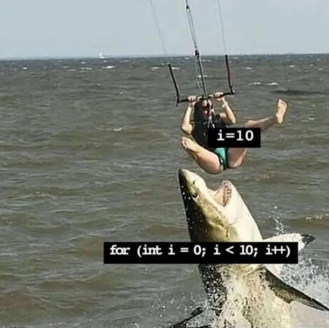 dev_humor's tweet image. #coderlife #coderpower #coderlifestyle #codingmeme #codingfun 
devhumor.com/media/safe-i-f…