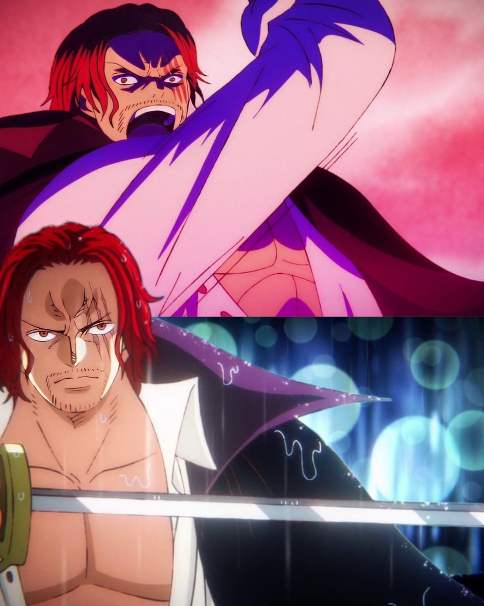 One Piece Daily tweet media