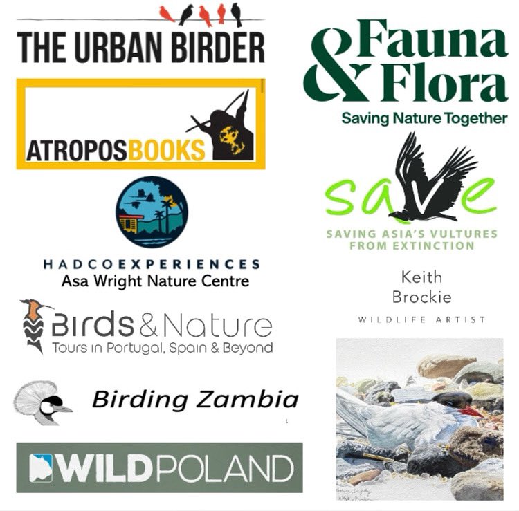 🦆Fantastic new exhibitors at Global Birdfair alongside familiar stands 👉 globalbirdfair.org/list-of-exhibi… 💚Join in this Festival of Nature, Creating Brighter Futures, Conserving Wildlife Worldwide 🕰️Event, Lecture & Workshop Timetables published when confirmed 🎟️gbf.yourticketpurchase.com/p/globalbirdfa…