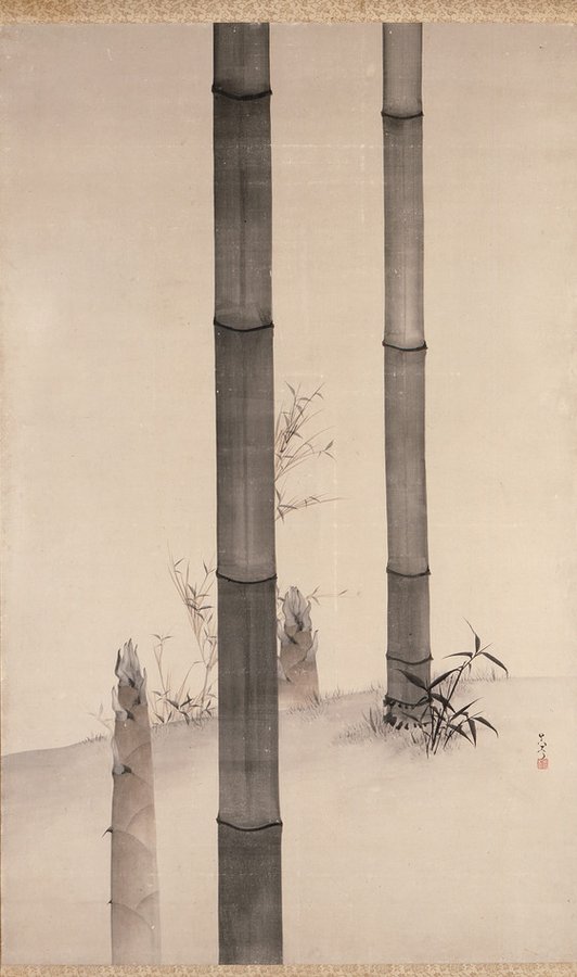 Bamboo, by Matsumura Goshun, early 19th century #shijoschool