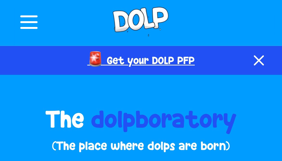 DOLP 🐬 tweet media