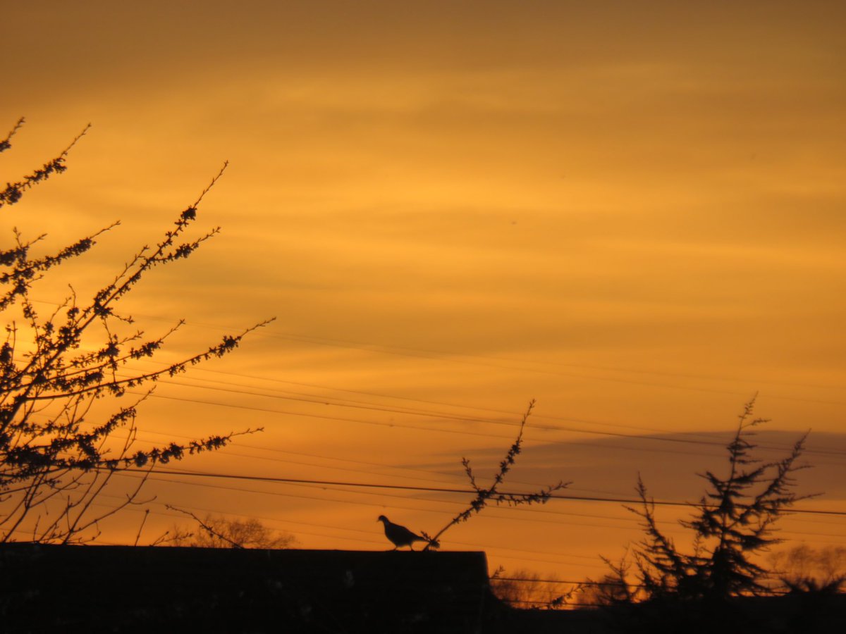 Sunset #friday @NNskies @metoffice