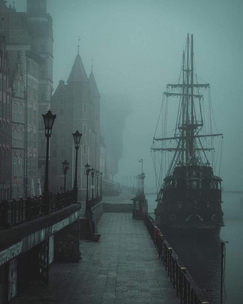 Foggy morning in the port of Gdansk, Poland 🇵🇱