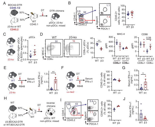 pDC-intrinsic role for integrin αvβ3 in regulating TLR signaling and preventing activation of autoreactive B cells @J_Immunol @LorantAlina @adamlacyhulbert
doi.org/10.4049/jimmun…