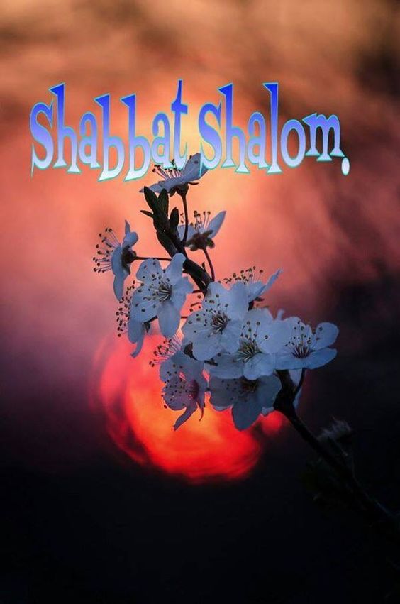 Shabbat Shalom to my friends & followers on Twitter. I pray for peace for the state of Israel and the safe release of their innocent hostages. #ShabbatShalom #AmYisraelChai #PeaceNotWar