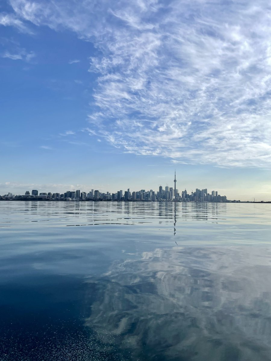 19 tags out this week in largemouth bass and northern pike in Toronto Harbour with @TRCA_HQ! Excited to see if these fish use the Don River after it’s opened with @em_yeung.