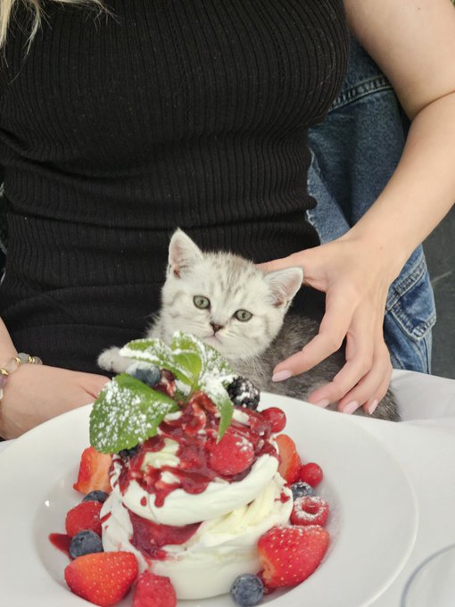 My first child!😅❤️ https://t.co/V9eJCrFPZj