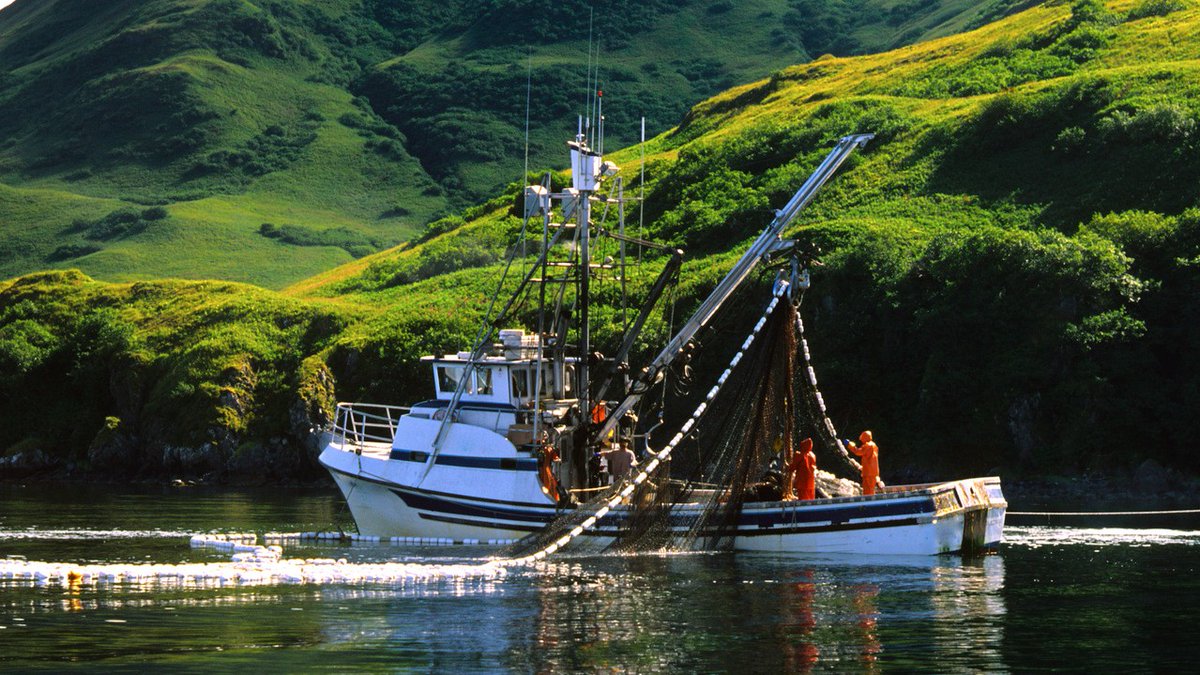 The Fisheries Economics of the United States 2022 report demonstrates the integral role fisheries play in our economy and the success of our fishery management programs. See the full report on how this work continues to grow jobs and sales in the U.S.: bit.ly/3UfHaqX