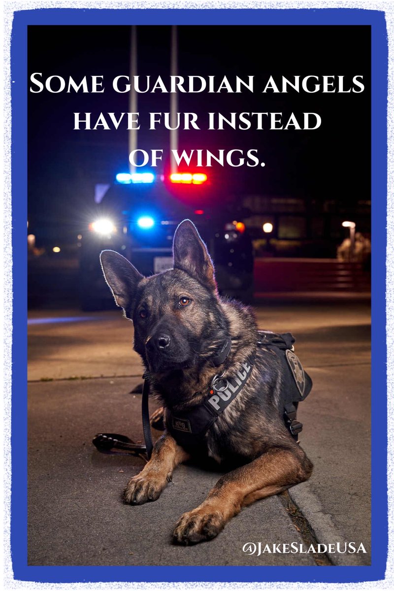 @SULLY10X I love this video Sully. The only thing as loyal, loving and as ferocious as a mamma protecting her child, is a well trained K9 protecting its family. Dogs love without limit or condition. To their last drop of blood and last breath.