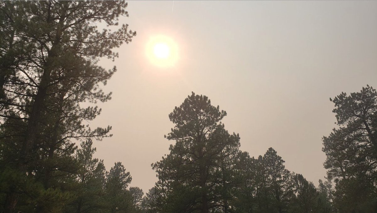 It’s known that wildfires have adverse effects on humans, but what about the plants, animals and trees? A @csu_chemistry postdoc found that smoke affects trees’ ability to maintain photosynthesis and release natural chemical emissions.🔥 Read more, here: col.st/UVQhA