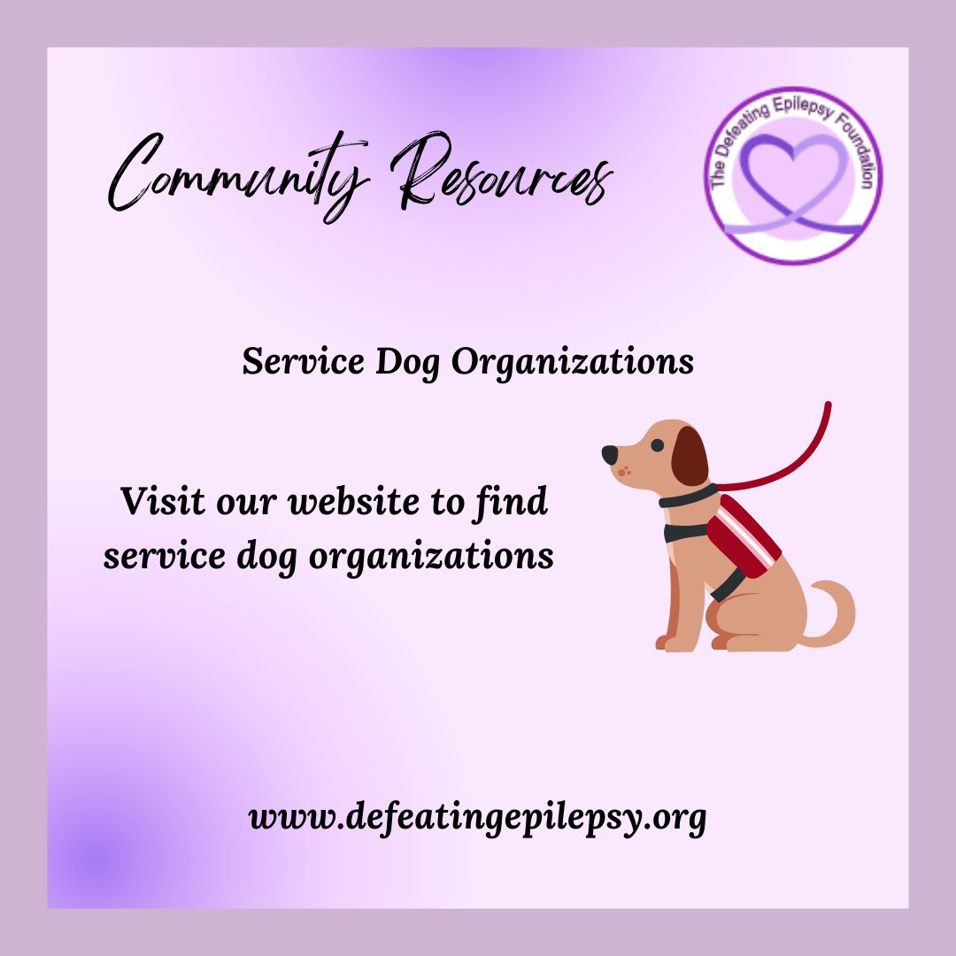 Looking for a service dog? Check out organizations that can help on our community resource page!

Link: defeatingepilepsy.org/service-dog-or…

#seizures #epilepsy #defeatepilepsy #servicedog