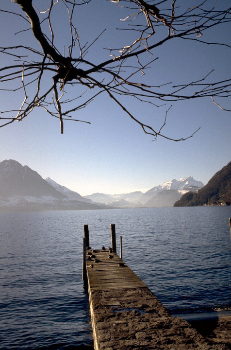 "Vierwaldstätter See / Lake Lucerne"
Photography by Flavia

Lake Lucerne on a clear winter day near Luzerne, Switzerland

flavia-westerwelle.pixels.com/featured/lake-…

#LakeLucerne ##vierwaldstättersee #Luzern #Schweiz #Switzerland