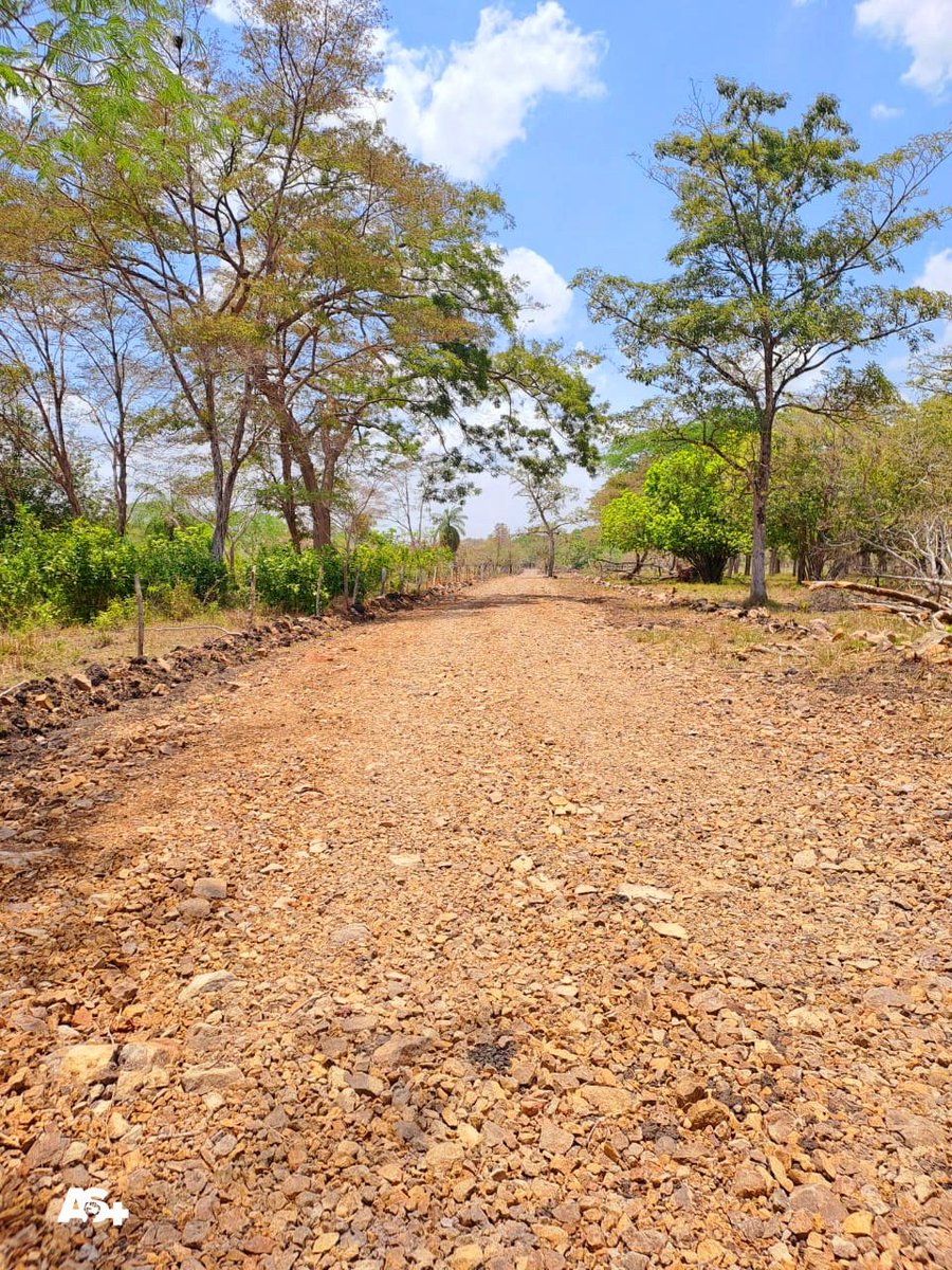 #Acoyapa / El Gobierno Sandinista, a través de la municipalidad, avanza con éxito en el plan de mejora de los caminos rurales y productivos. 👷‍♂️🚧👪

#4519LaPatriaLaRevolucion
#AdelanteSiempre
