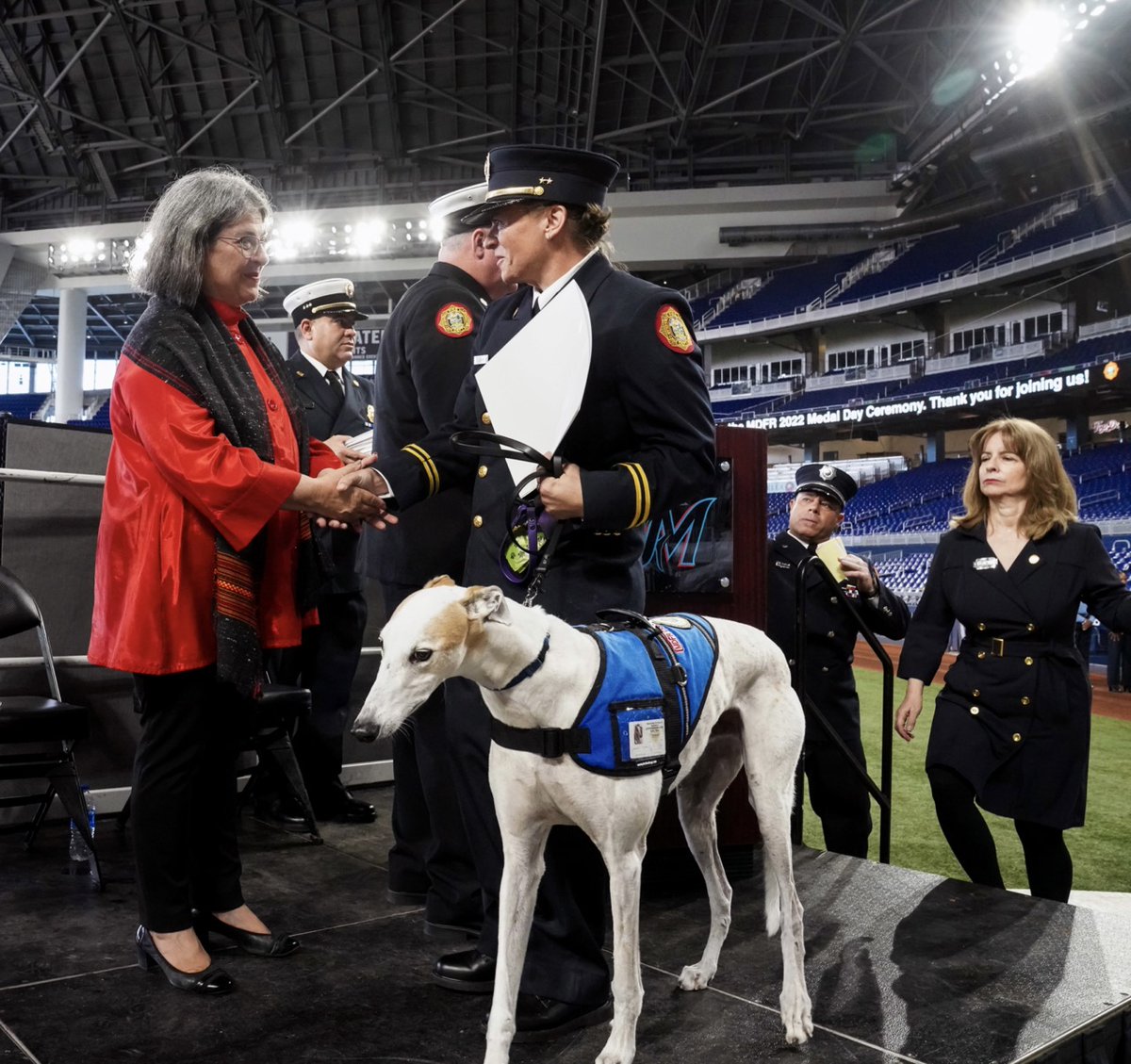 It is with deep sadness that we announce the passing of Charlie “The Greyhound”, a K-9 member of the #MDFR Crisis Response K-9 Program. Charlie was a loyal service dog and companion to Capt. Shawn Campana, and together they founded and led the MDFR Crisis Response K-9 teams.