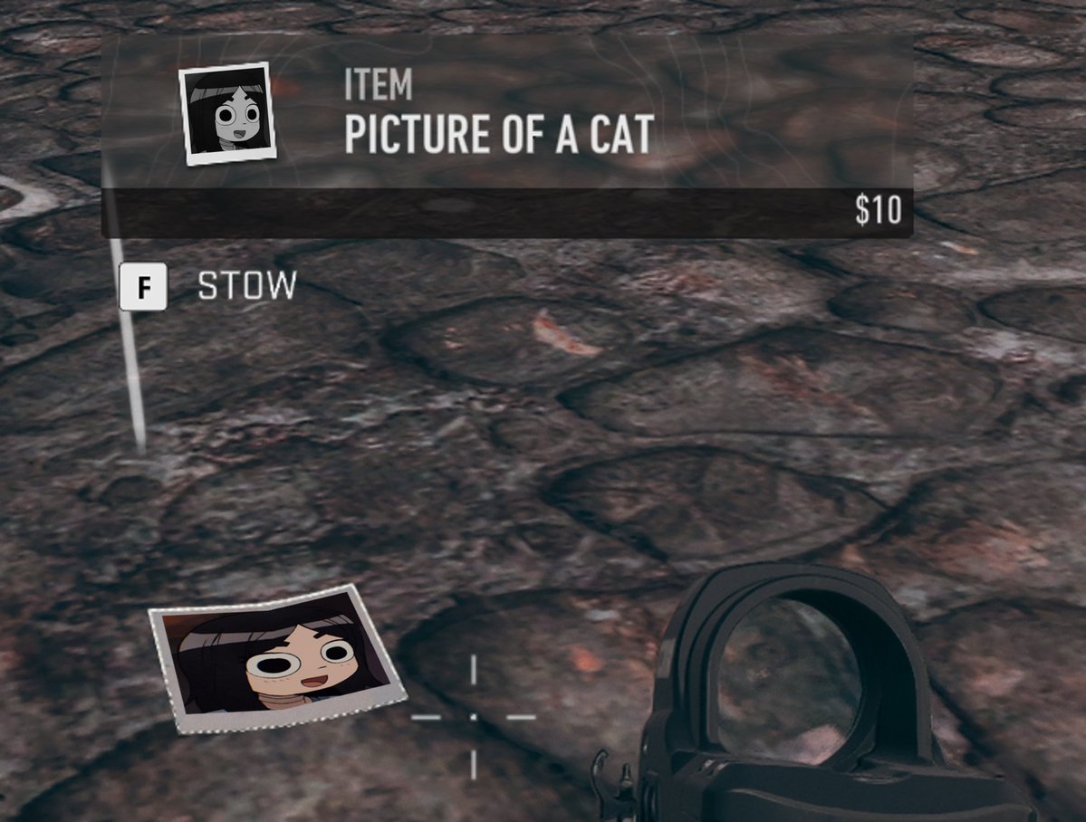 It's such a shame that the $10 picture of a cat from DMZ didn't return in MWZ...

Oh well...