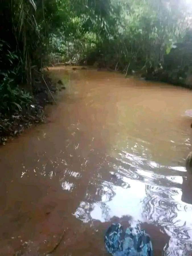 Here is a stream that belongs to a certain snake. The stream is called Ihechi. Only ladies are allowed to bathe and swim here. The snake does come by the side of the stream to welcome people, and no one will ki**ll it. K!ll**ing it attracts de**ath. And if the snake bit*es…