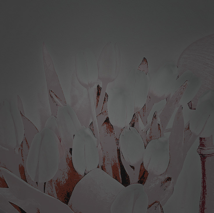 ⠀         

                                  Olivia Cooke as Ariane Bellefleur est réservée . 

⠀⠀