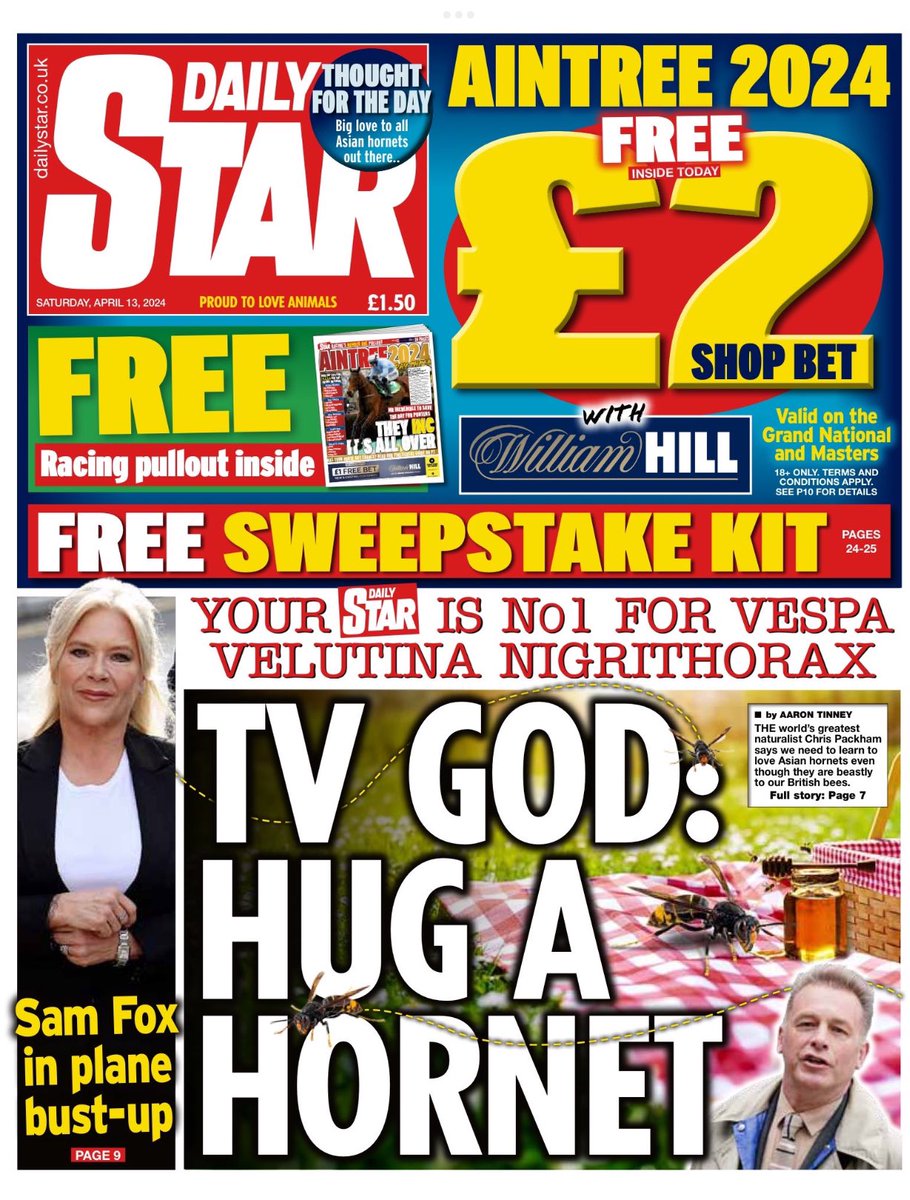 Introducing #TomorrowsPapersToday from:

#DailyStar 

TV God: Hug a hornet 

Check out tscnewschannel.com/the-press-room… for a full range of newspapers.

#journorequest #newspaper #buyapaper #news #buyanewspaper