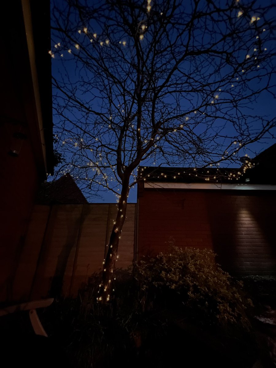 placeholder tweet media