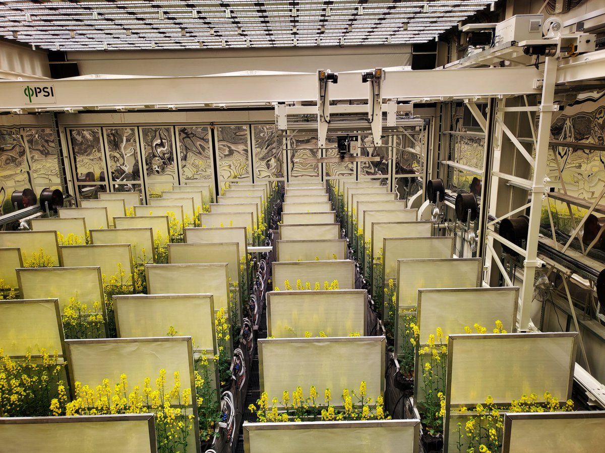 I really enjoyed my tour of the @LeibnizIPK plant #phenotyping infrastructure including the PhenoSphere. Thanks to Kerstin Neumann for showing me around and explaining everything so that even I could understand things.