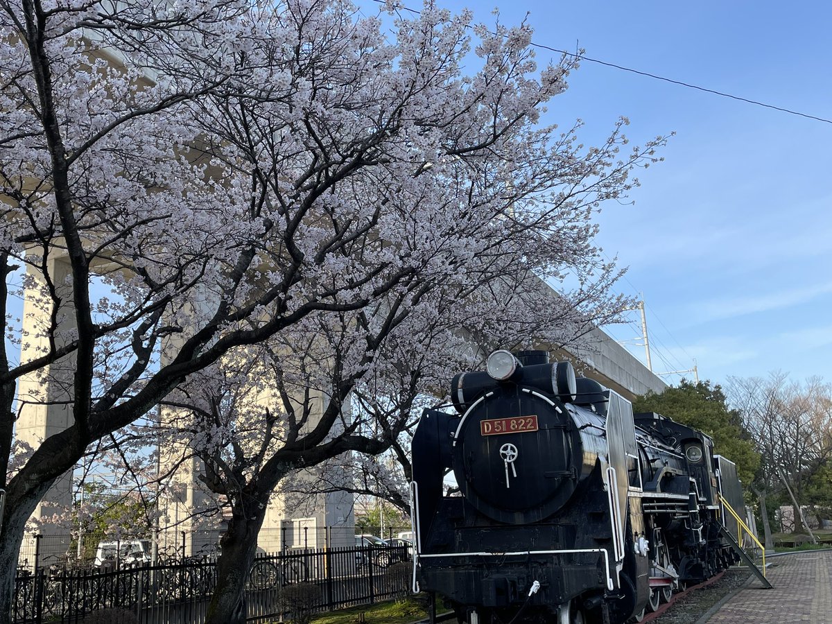 D51蒸気機関車と桜🚂🌸✨ #写真 #写真好きな人と繋がりたい #OLYMPUS #蒸気機関車 #D51 #桜