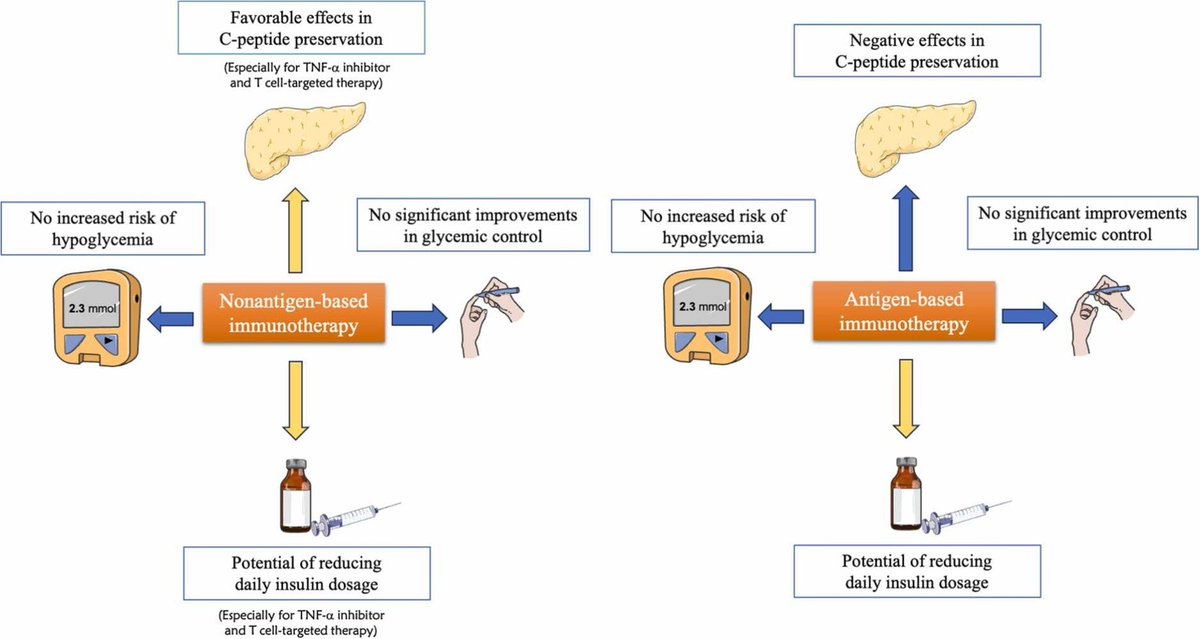 Amazing systematic review and meta-analysis discussing the opportunities and challenges of the disease-modifying immunotherapy for type 1 diabetes: doi.org/10.1016/j.phrs…
#diabetes #immunotherapy #PharmacolRes #openaccess #Research #PharmaTwitter #MedTwitter