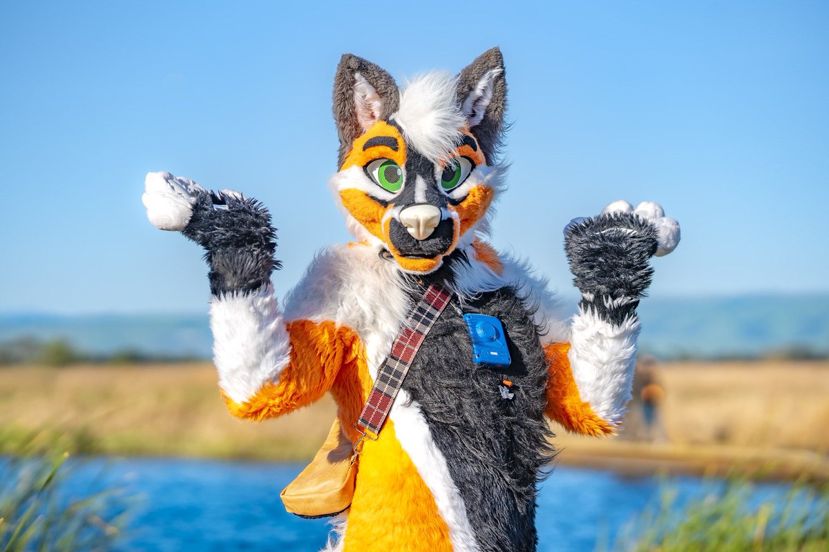 When in doubt, fox it out! 😱🦊 🧵 @MadeFurYou 📸 @ChatahSpots #FursuitFriday