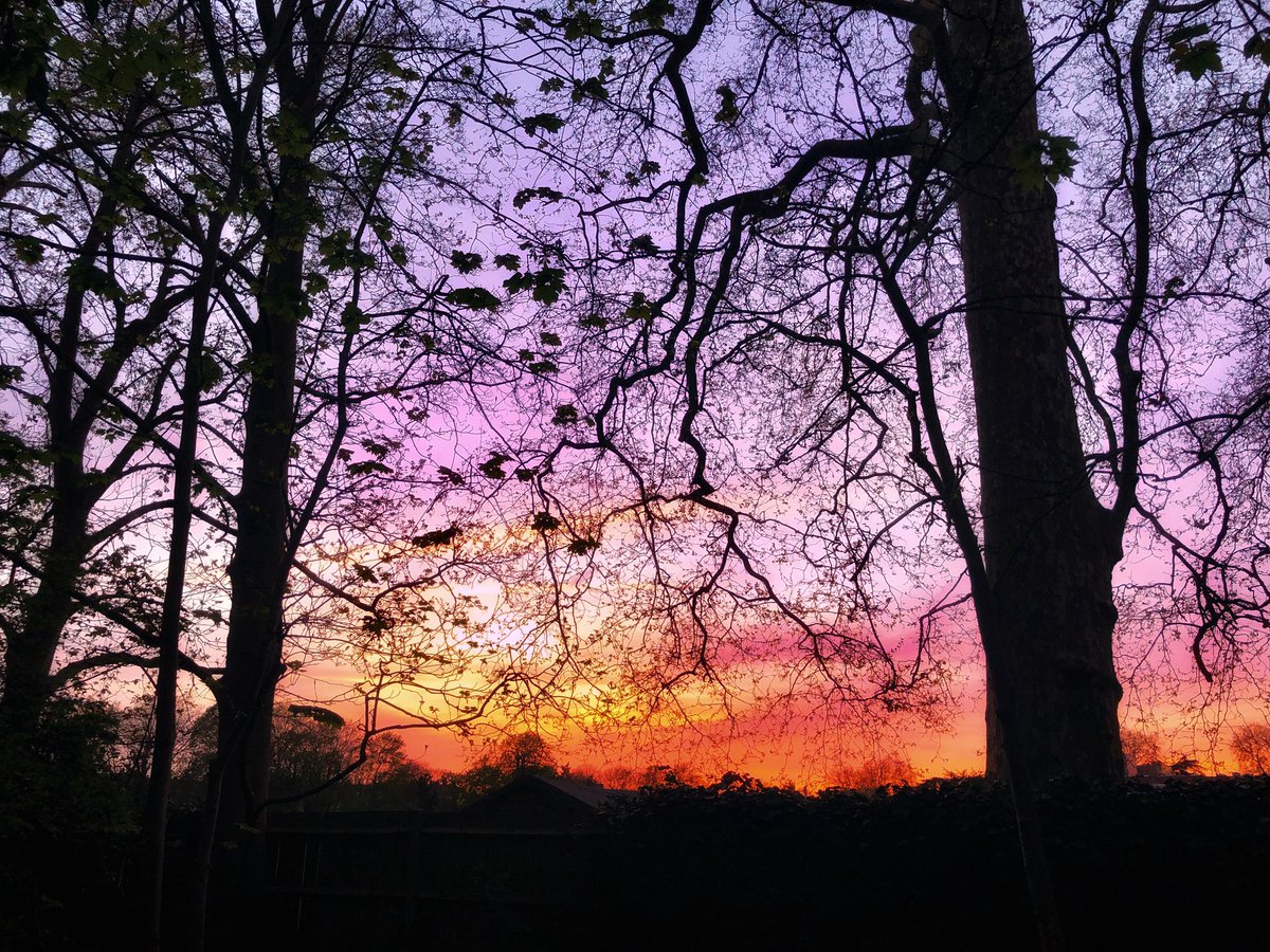 The sky tonight over #Twickenham while we were walking through Marble Hill Park and Orleans House Gardens was quite incredible. The colours ranged from soft dappled hues to deep pink or red depending on which direction you were looking! @metoffice #loveukweather #sunset