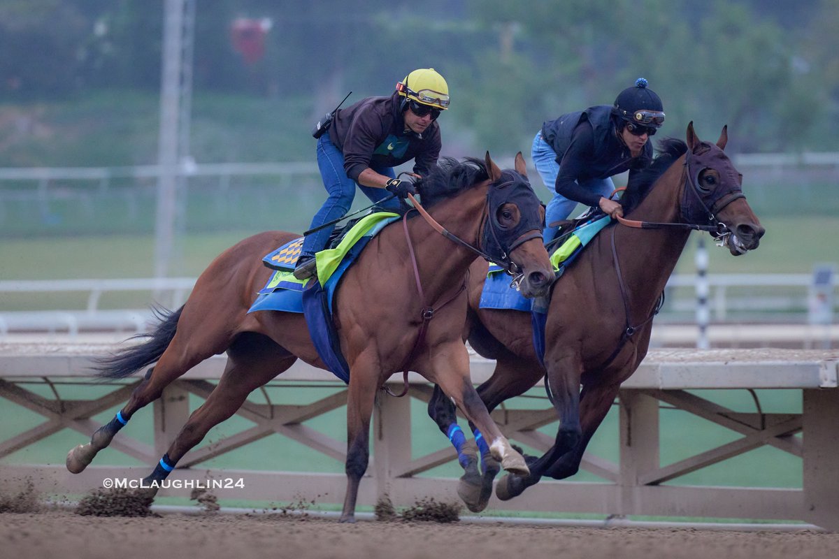 Muth worked a half in 48 this morning under Juan Ochoa outside of Recall and Reload 4 in 48.60 with Erick Garcia up for HoF trainer Bob Baffert @santaanitapark @ZedanRacing @BobBaffert @Ersick05