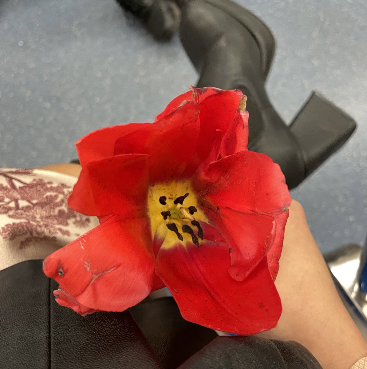 the cutest little girl just randomly gave me a flower on the train??😭